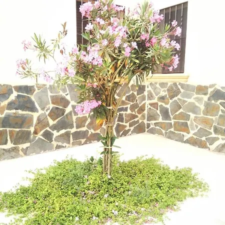 Tatil Evi O Lar Da Lua Les Salades