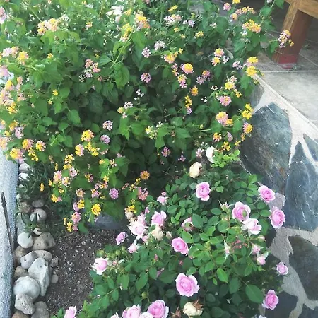 Tatil Evi O Lar Da Lua